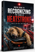 🎁 heatstroke emergency guide (100% off)