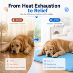 Heat Defense System™ by PawsifyHub